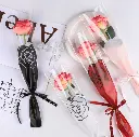 0913-18 (PORTA ROSAS)
