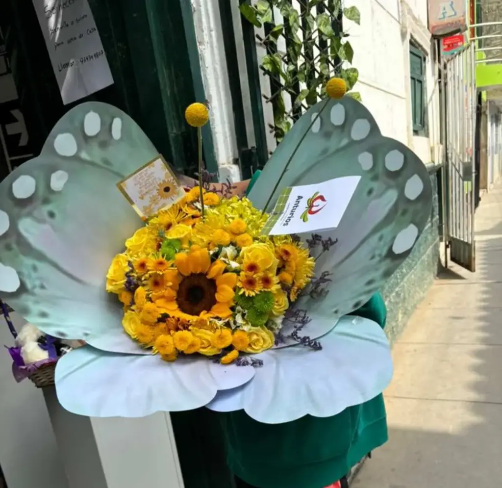 MARIPOSAS