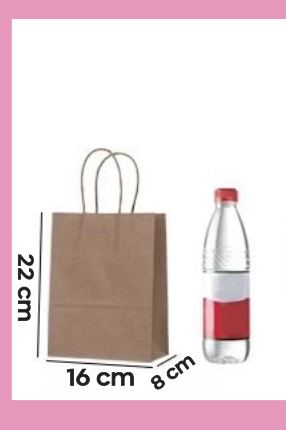 BOLSAS DE PAPEL 22X16X8 