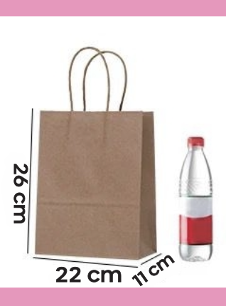 BOLSAS DE PAPEL 26X22X11 L