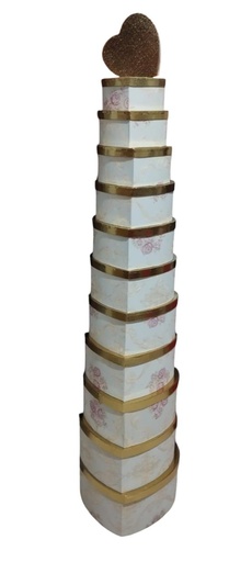 6969-12 (OPCIÓN #1)