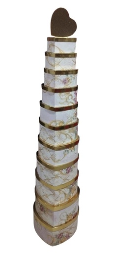 6969-12 (OPCIÓN #10)