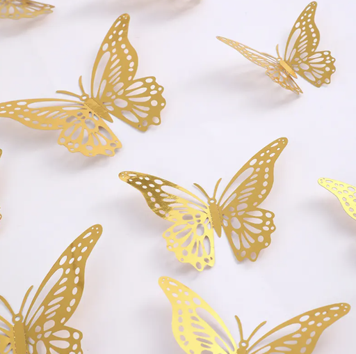 HD-02 (MARIPOSAS)